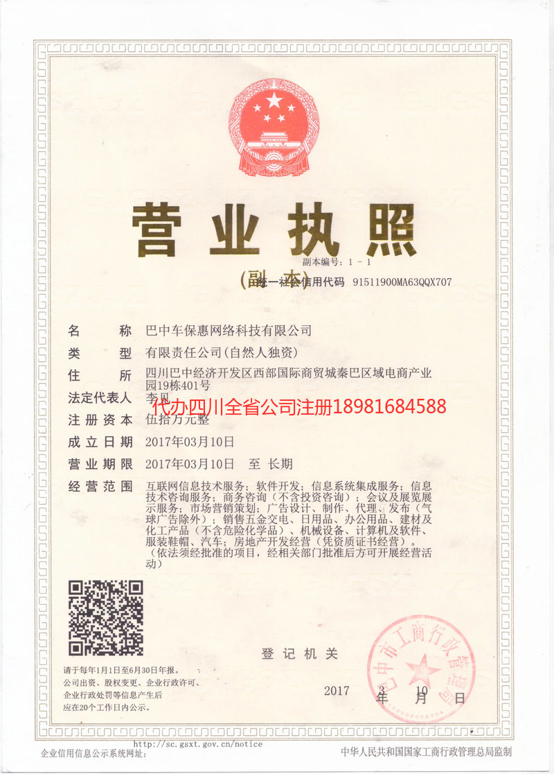 金口河金口河车保惠网络科技有限公司